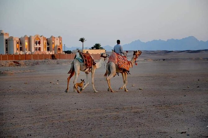 Quad Bike 3 hours - Camel riding adds variety, but not much riding time