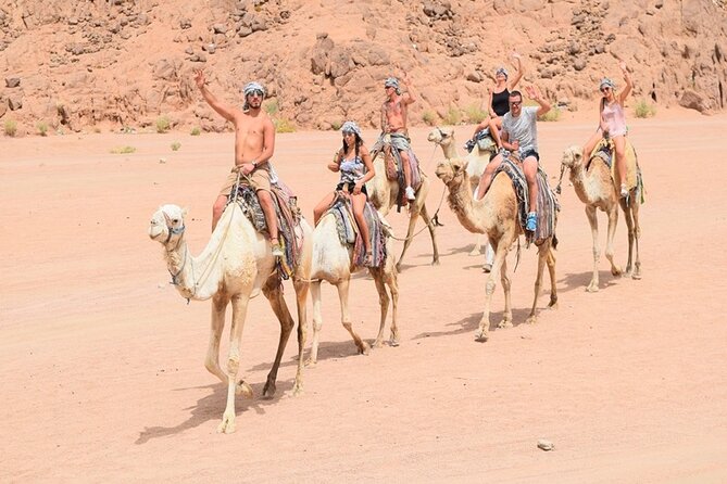 Quad Biking Safari-Camel Ride-Bedouin Dinner and Shows From Sharm - The quad ride: the strongest part of the evening