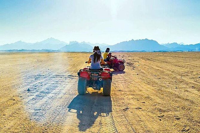 Quad Biking Safari-Camel Ride-Bedouin Dinner and Shows From Sharm - Firelight shows and the final hour