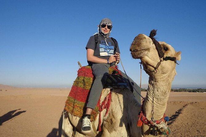 Quad Biking Safari-Camel Ride-Bedouin Dinner and Shows From Sharm - Is $44.20 good value?