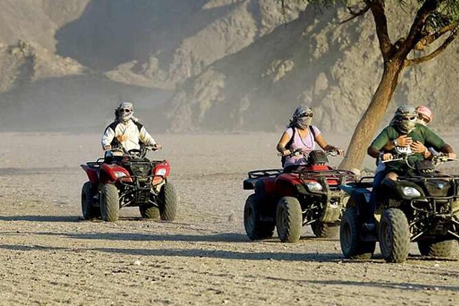 Quad with Camel Ride & Bedouin village From Marsa Alam - Key Points Before You Book