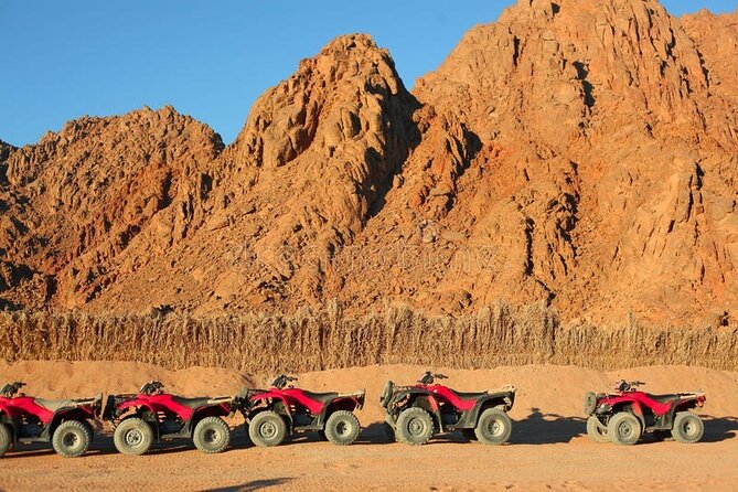 Quad with Camel Ride & Bedouin village From Marsa Alam - Photo Stops, Acacia Trees, and Desert Views