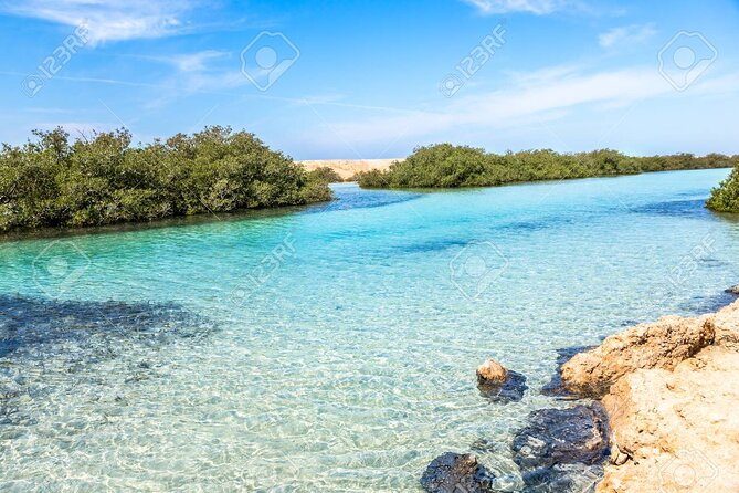 Ras Mohamed and White Island Snorkeling Trip and One Stop Diving-Sharm El Shiekh - Quick points before you book