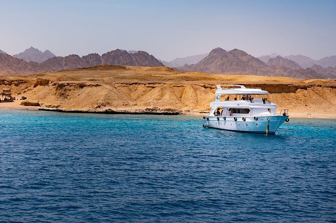 Ras Mohamed and White Island Snorkeling Trip and One Stop Diving-Sharm El Shiekh - What the $40 price really gets you
