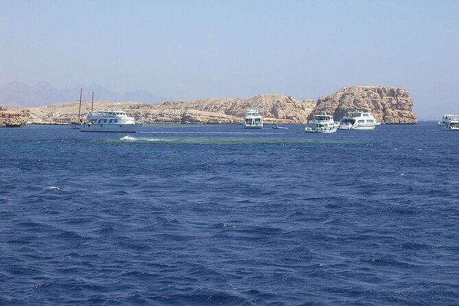 Ras Mohamed and White Island Snorkeling Trip and One Stop Diving-Sharm El Shiekh - The beginner scuba session: good introduction, limited time