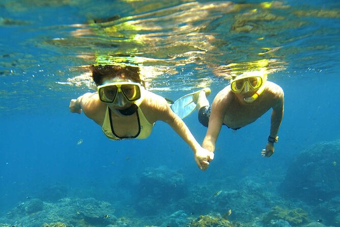 Ras Mohamed and White Island Snorkeling Trip and One Stop Diving-Sharm El Shiekh - The crew: a major strength with some uneven moments