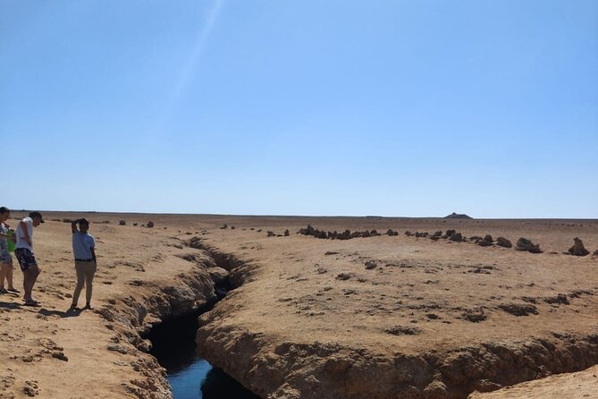 Ras Mohamed National Park Half Day Tour by Bus In Sharm El Sheikh - Coral Gardens and the shore snorkeling session