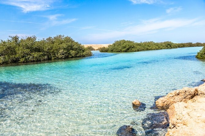Ras Mohamed National Park Half Day Tour by Bus In Sharm El Sheikh - Mangroves, salt marshes, and the Earthquake Crack