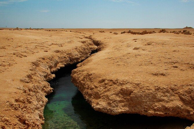 Ras Mohamed National Park Half Day Tour by Bus In Sharm El Sheikh - What the $20.75 price really buys you