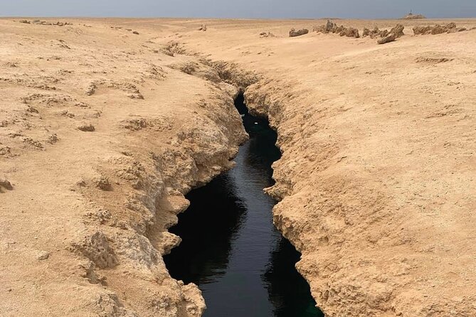 Ras Mohamed National Park Half Day Tour by Bus In Sharm El Sheikh - Guides, group style, and the language question