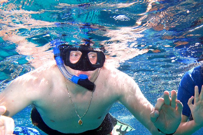 Ras Mohamed & White Island Experience Sharm El Sheikh - Pickup, timing, and the boat day