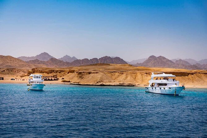 Ras Mohammed and White Island Snorkeling Sea Trip with Lunch - Quick Points Before You Book