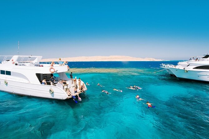 Ras Mohammed and White Island Snorkeling Sea Trip with Lunch - Who Should Book This Excursion?