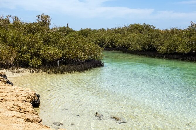 Ras Mohammed national park by bus + Snorkeling - Ras Mohammed Bay and the underwater show