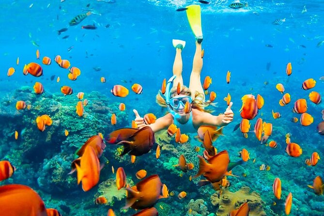Ras Muhammed & White Island Snorkeling Sea Trip - Sharm El Sheikh - Practical things to bring and confirm