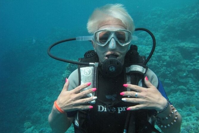 Red Sea Diving Trip from Hurghada: Beginner to Advanced Divers - Two Red Sea sites in one seven-hour day