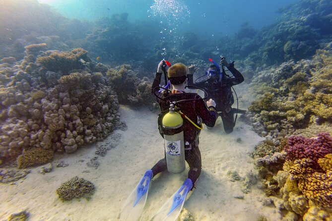 Red Sea Diving Trip from Hurghada: Beginner to Advanced Divers - Is $69.52 good value?
