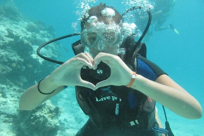 Red Sea Diving Trip from Hurghada: Beginner to Advanced Divers - What you may see below the surface