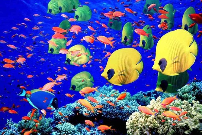 Red Sea Snorkeling from Hurghada - The boat ride is part of the experience