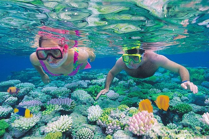 Red Sea Snorkeling from Hurghada - First reef stop: beautiful, but often crowded