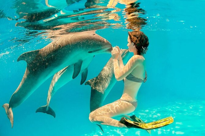 ROYAL Dolphin House & Water Sports Snorkeling Sea Trip - Hurghada - Dolphin House: the day’s great promise
