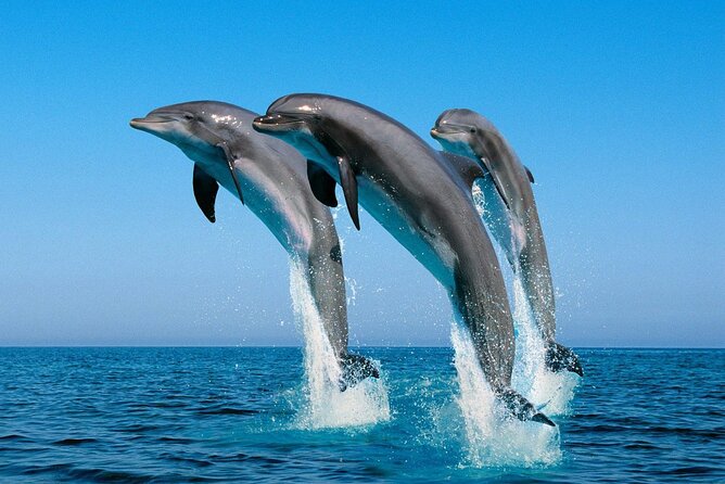 ROYAL Dolphin House & Water Sports Snorkeling Sea Trip - Hurghada - Water sports and the changing schedule