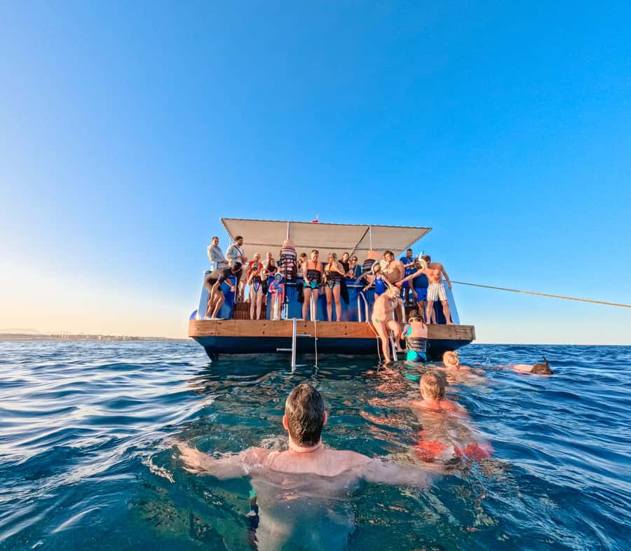 Safaga/Makadi Bay: Panorama Submarine with Snorkeling Tour - What you may see below the windows