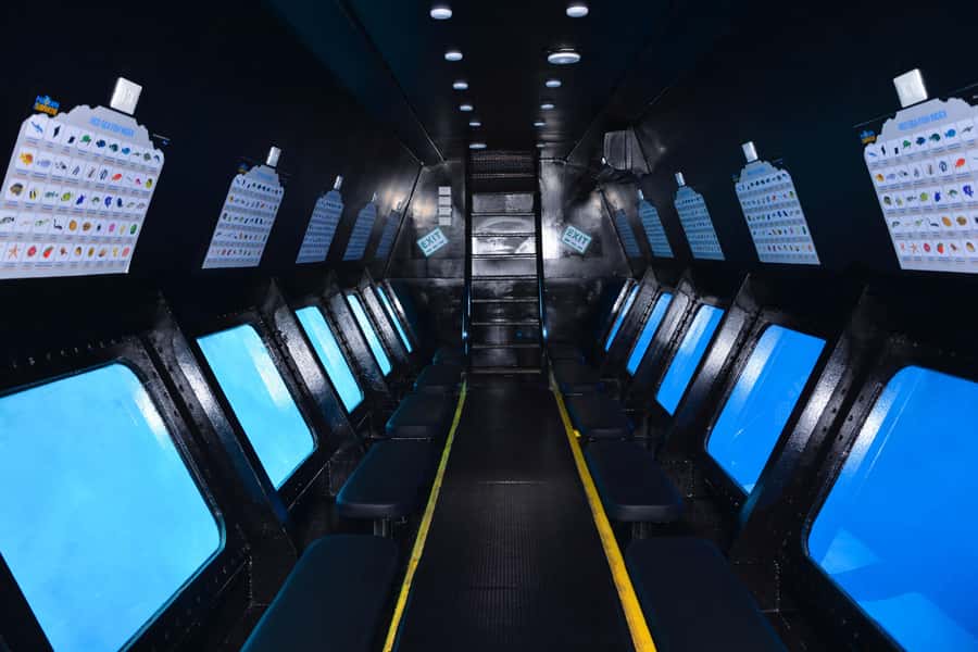 Safaga/Makadi Bay: Panorama Submarine with Snorkeling Tour - Who will enjoy this most