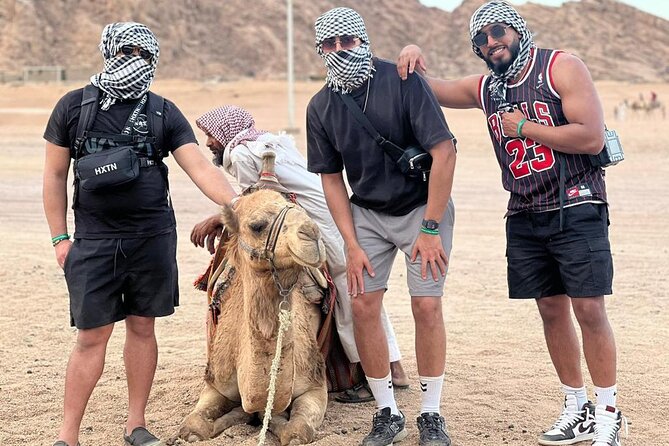Safari 5 in 1 Quads, Camels, Show, Dinner & Star Gazing in Sharm El Sheikh - Why this five-hour desert package works