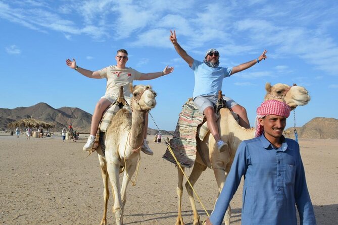 Safari ATV, Buggy, Camel, Bedouin Dinner and Hurghada Show - Switching to the dune buggy