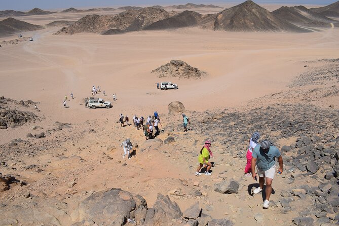 Safari ATV, Buggy, Camel, Bedouin Dinner and Hurghada Show - A 20-kilometre jeep trip to the Bedouin village