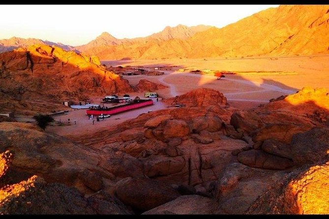 Safari quad, jeep, camel ride, show and dinner Hurghada - The Bedouin village and short camel ride