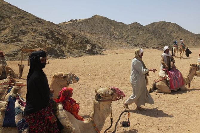 Safari quad, jeep, camel ride, show and dinner Hurghada - The quad station: choose the longer ride