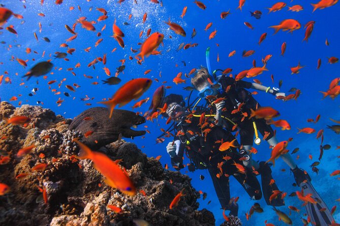 Safe Try dive-Personal instructor, 1:1 experience, Top boat - Who should book this experience?
