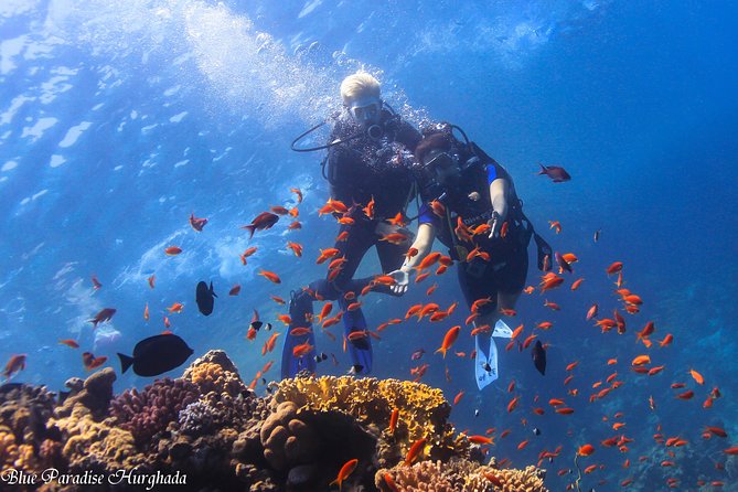 Safe Try dive-Personal instructor, 1:1 experience, Top boat - Morning pickup from Hurghada and the marina