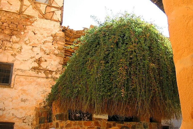 Saint Catherine's Monastery And Dahab Day Tour - Sharm El Sheikh - What the $35 price really covers