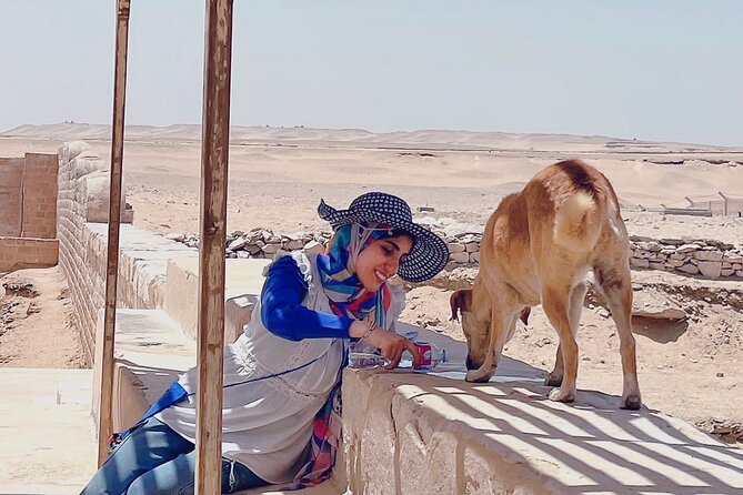 Saqqara, Dahshur - 10%to stray dogs and cats - The carpet school and village perspective