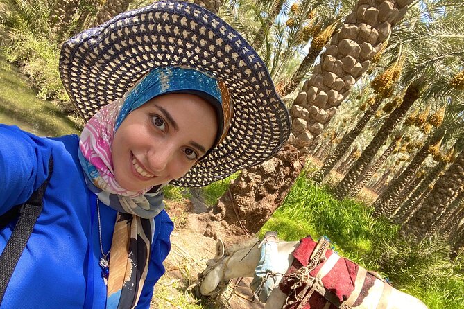 Saqqara, Dahshur - 10%to stray dogs and cats - The Memphis question you should settle first