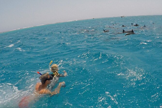 Sataya Dolphin House Snorkel Trip - Marsa Alam - The second stop: coral, fish, and a calmer swim