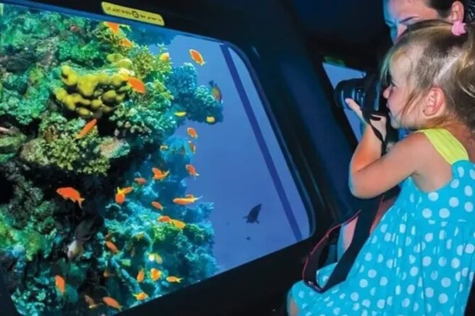 Sea Scope Cruise with Snorkeling Adventure in Hurghada - Why the $14.08 price can make sense