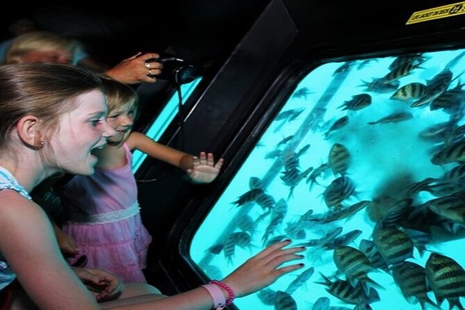Sea Scope Cruise with Snorkeling Adventure in Hurghada - What the underwater viewing session offers