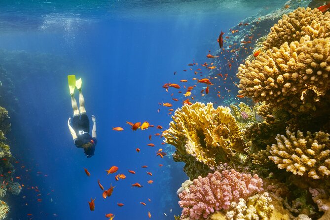 Sharm El Sheikh: Colored Canyon Jeep Tour with Blue Hole & Dahab - Blue Hole snorkeling beside the Red Sea