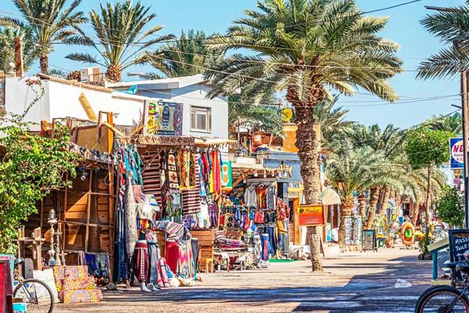 Sharm El Sheikh: Colored Canyon Jeep Tour with Blue Hole & Dahab - Camel rides, quad bikes, and the jeep safari