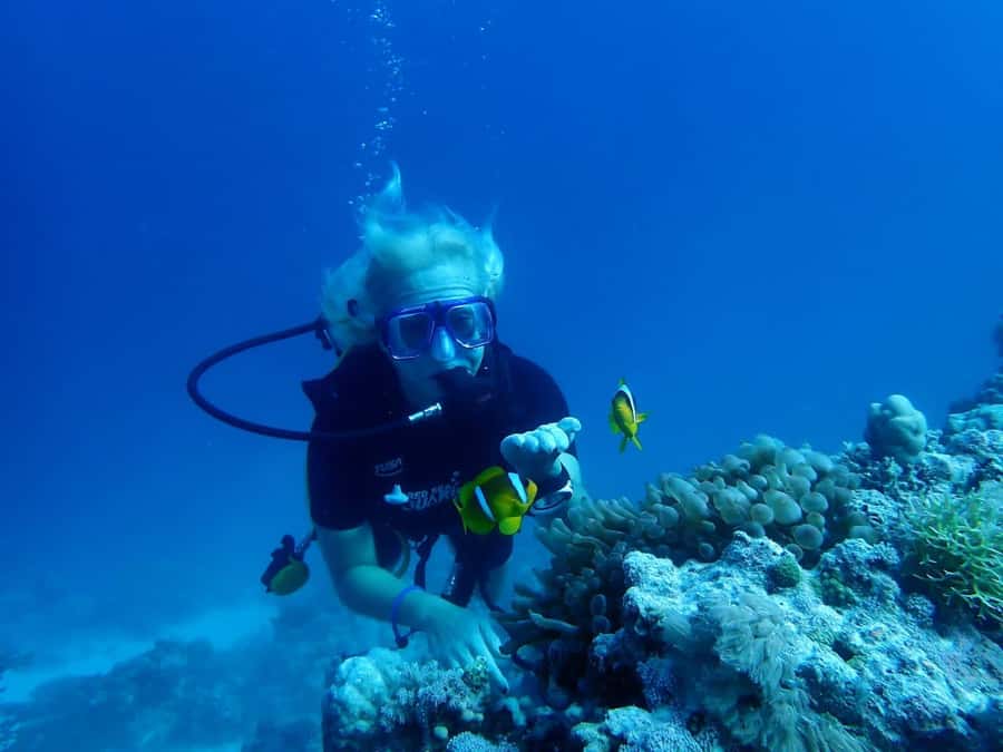 Sharm El Sheikh: Day sail to White island and Ras Mohamed - First reef stop: a good introduction to the Red Sea