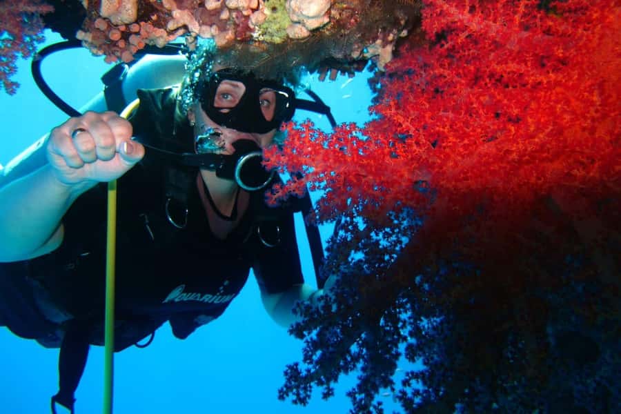 Sharm El Sheikh: Day sail to White island and Ras Mohamed - Ras Mohamed National Park and its coral reefs