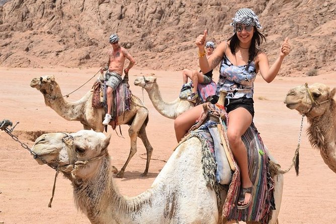 Sharm El Sheikh Desert Adventure (5X1) - A short camel ride and Bedouin tea