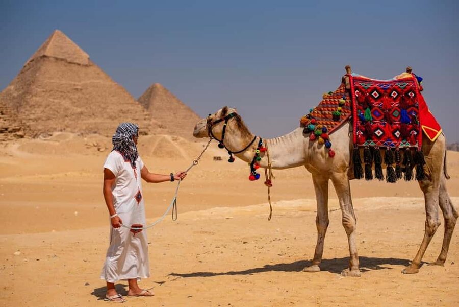 Sharm El-Sheikh: Full-Day Tour of Cairo and Pyramids by Bus - Who should book this Cairo day trip?