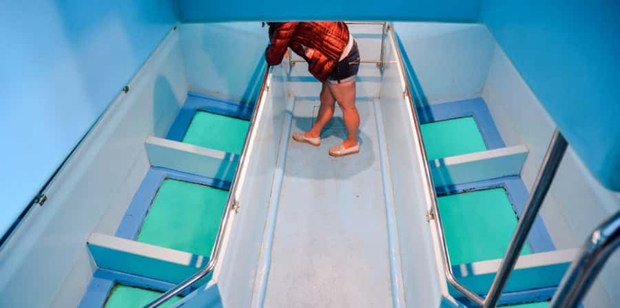 Sharm El Sheikh: Glass Bottom Boat Tour & Private Transfer - How much value do you get for $33?