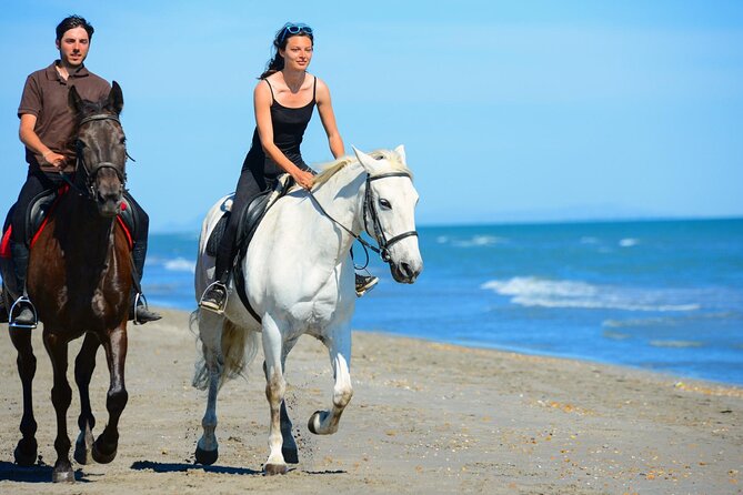 Sharm El Sheikh Horseback Riding with Pickup and Drop-off - Leaving your hotel for the stables
