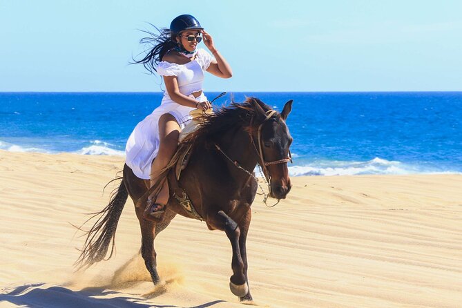 Sharm El Sheikh Horseback Riding with Pickup and Drop-off - What the guide adds to the ride